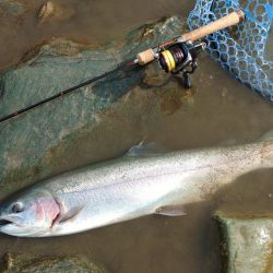 ニューロッド入魂！ ～天竜川ルアーフライ専用区～